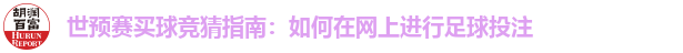 世预赛买球竞猜指南：如何在网上进行足球投注